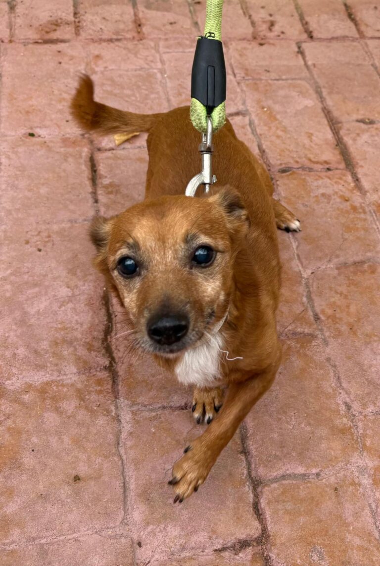 multimedia-foto95801-260-1