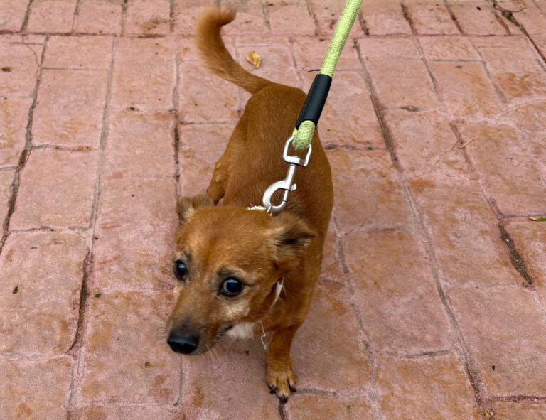 multimedia-foto95802-260-1