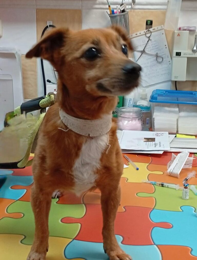 multimedia-foto95803-260-1