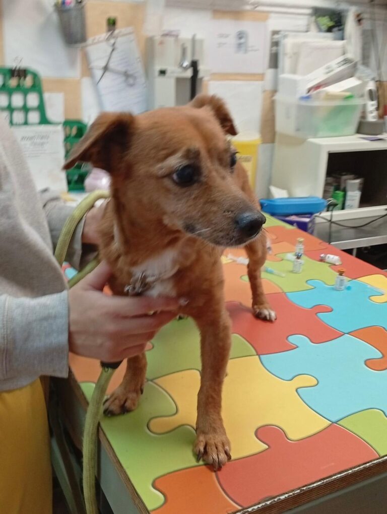 multimedia-foto95804-261-1