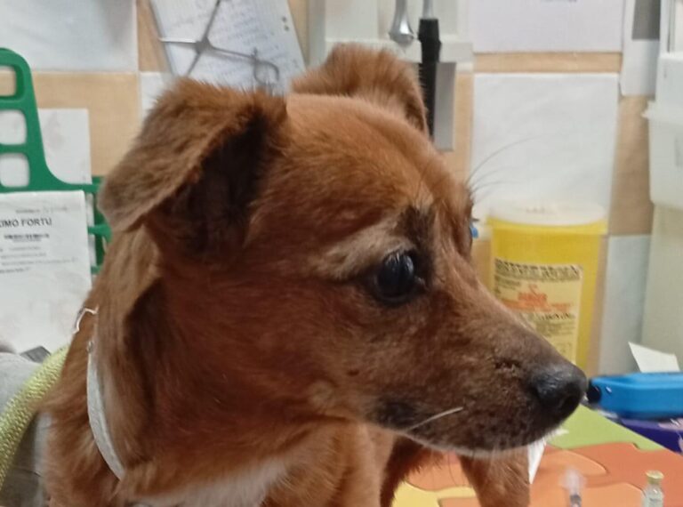 multimedia-foto95805-261-1