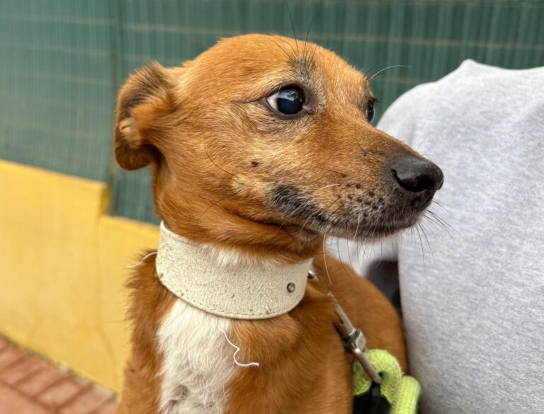 multimedia-foto95806-261-1