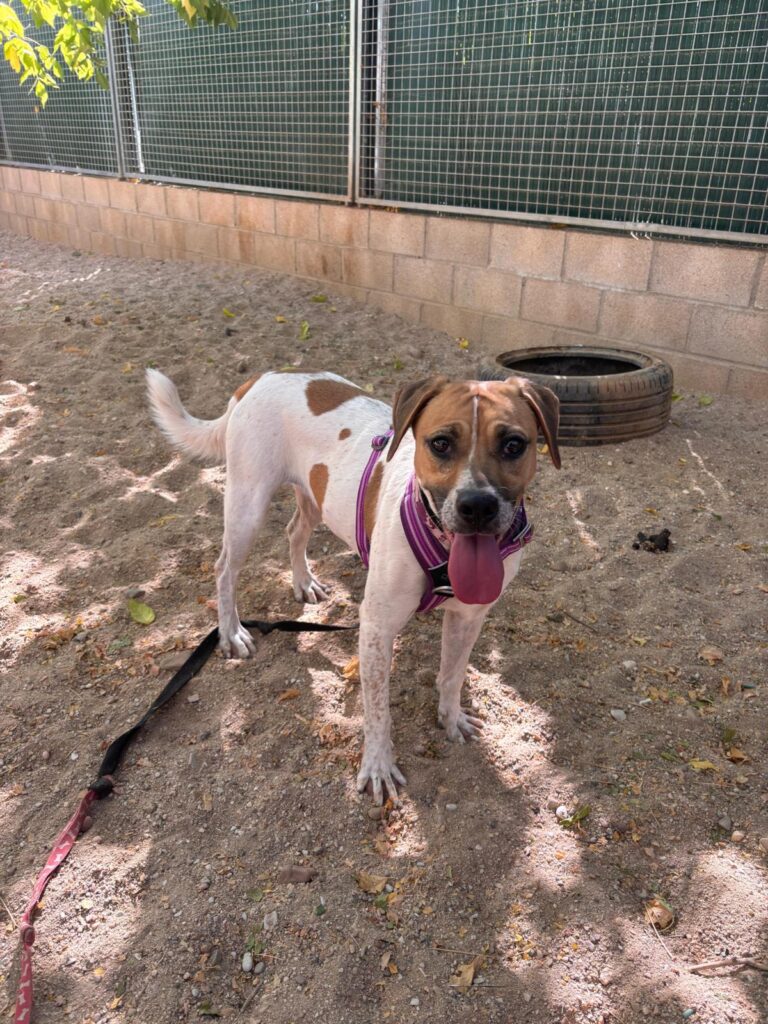 multimedia-foto95808-23-1