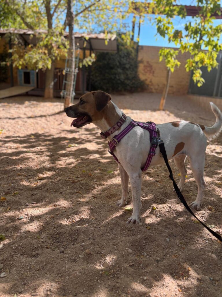 multimedia-foto95809-23-1