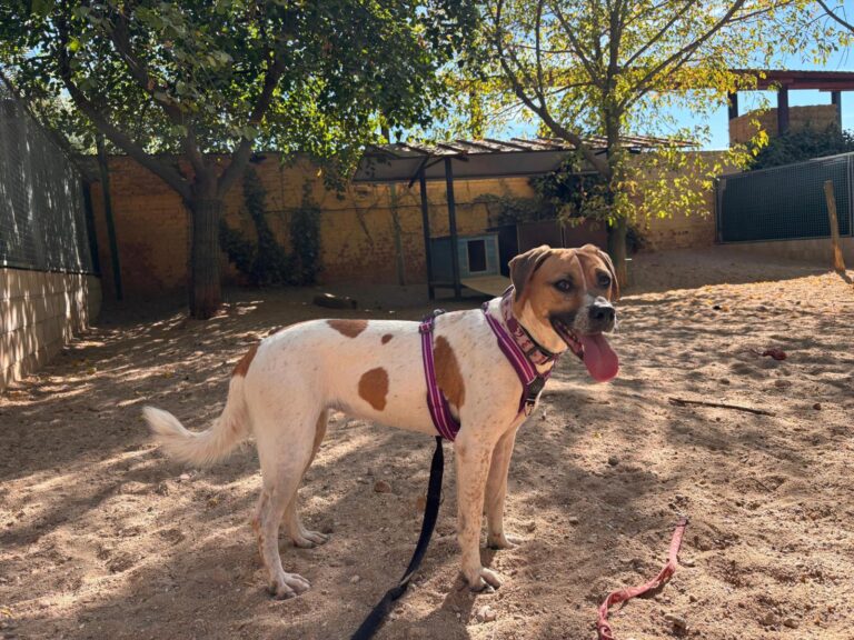 multimedia-foto95810-24-1