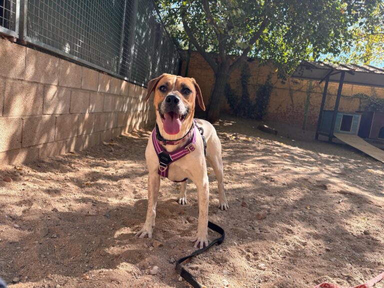 multimedia-foto95811-24-1