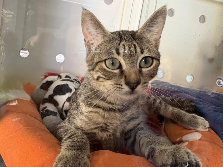 multimedia-foto95813-170-1