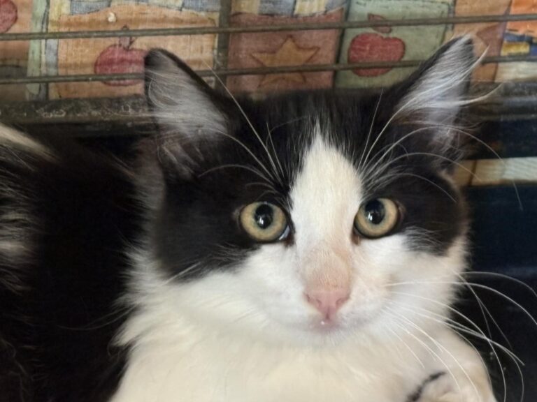 multimedia-foto95824-869-1