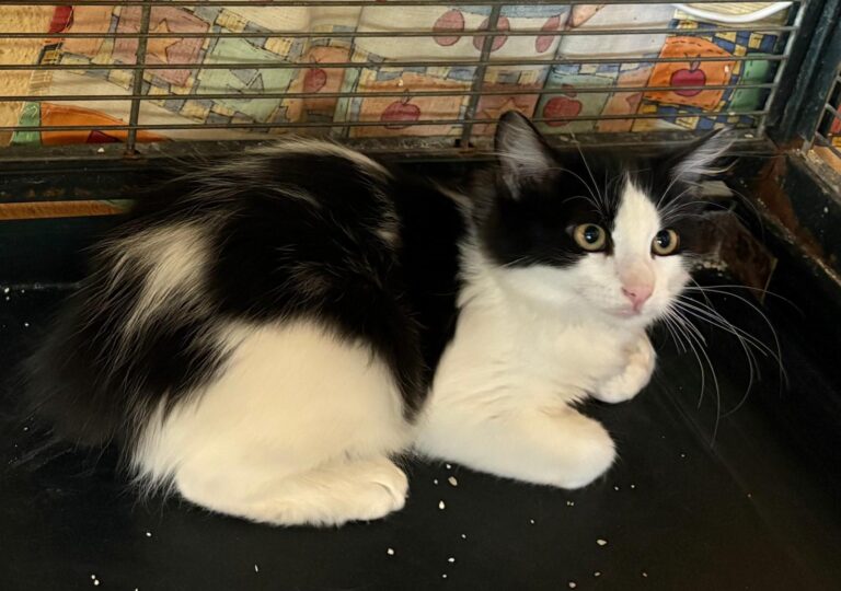 multimedia-foto95825-869-1