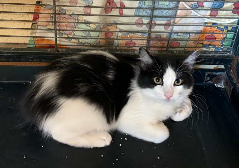 multimedia-foto95826-869-1