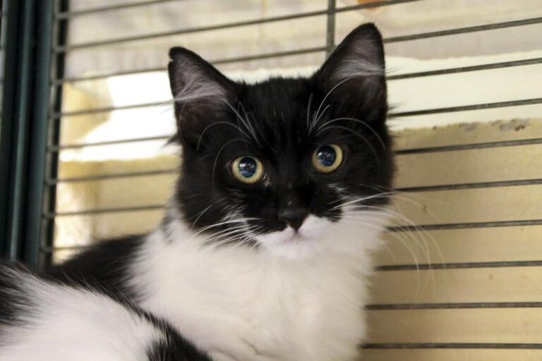 multimedia-foto95829-958-1