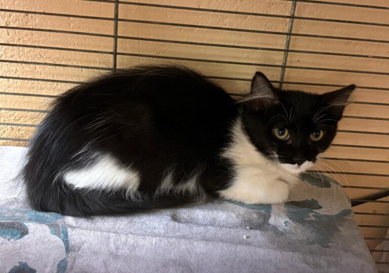 multimedia-foto95831-958-1