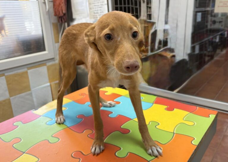 multimedia-foto95842-985-1