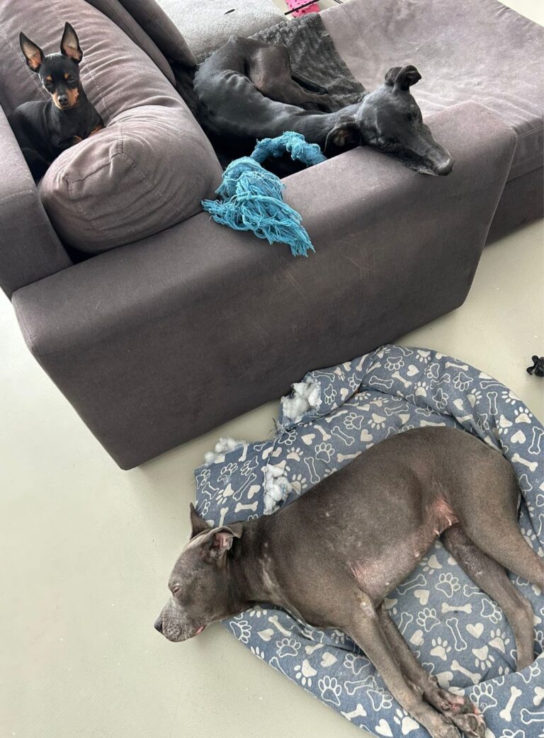 multimedia-foto95856-975-1