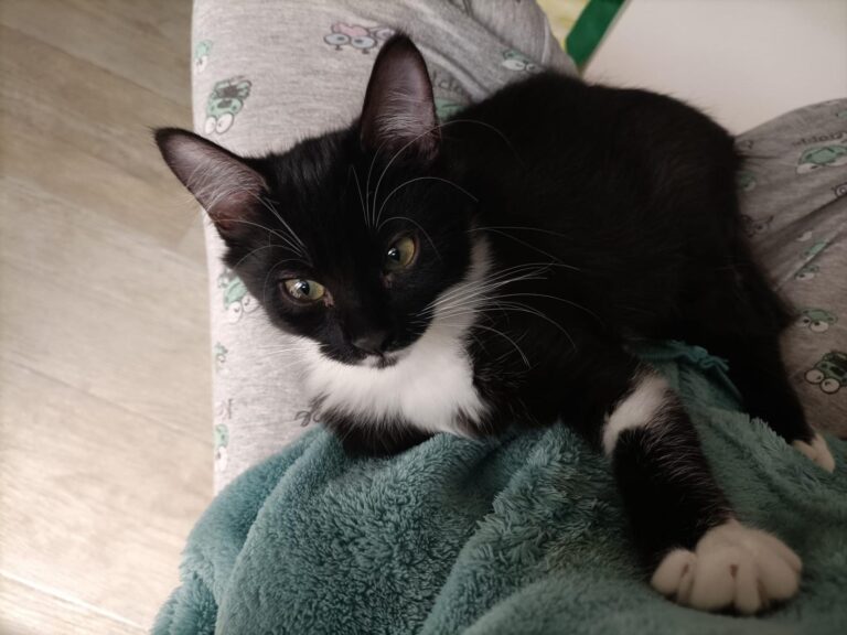 multimedia-foto95868-655-1