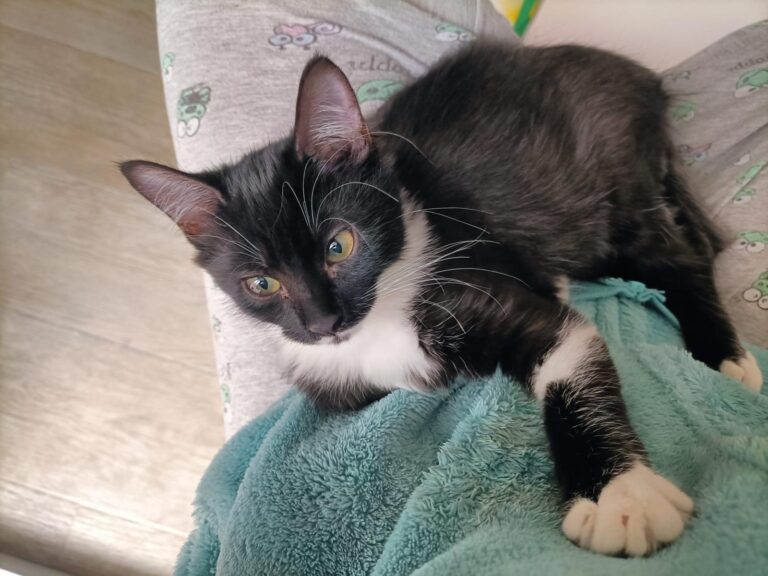 multimedia-foto95870-655-1