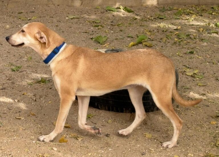 multimedia-foto95874-462-1