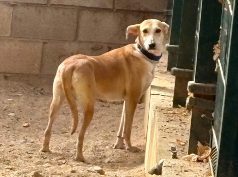 multimedia-foto95875-462-1