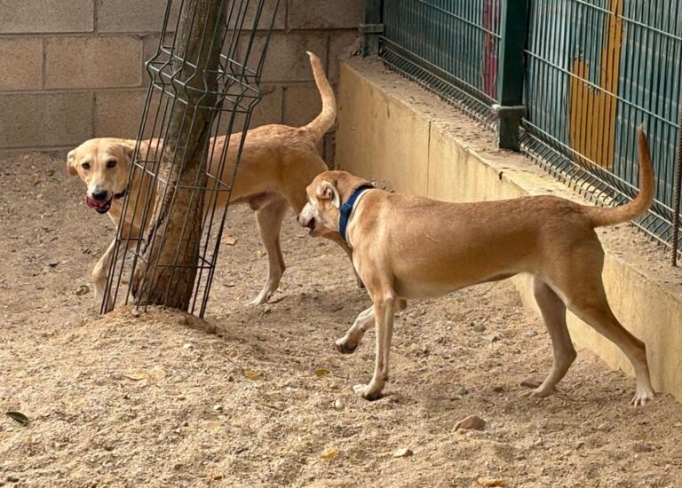 multimedia-foto95876-536-1