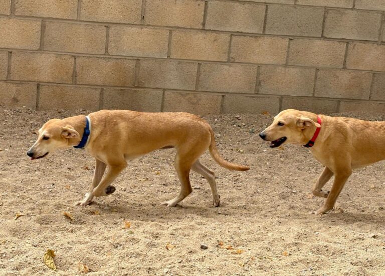 multimedia-foto95877-536-1