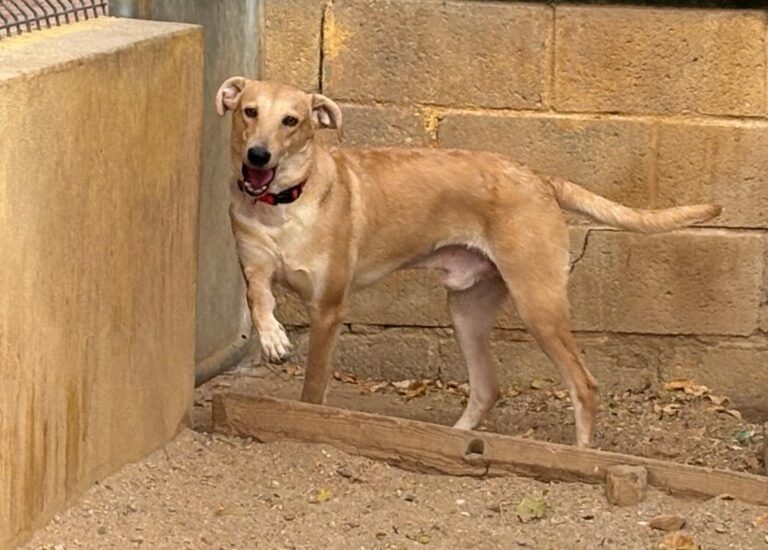 multimedia-foto95881-537-1