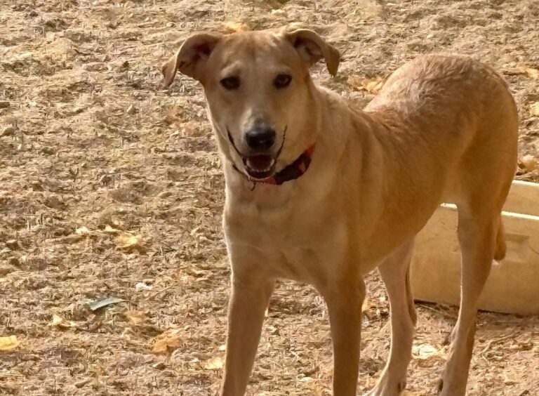 multimedia-foto95882-537-1