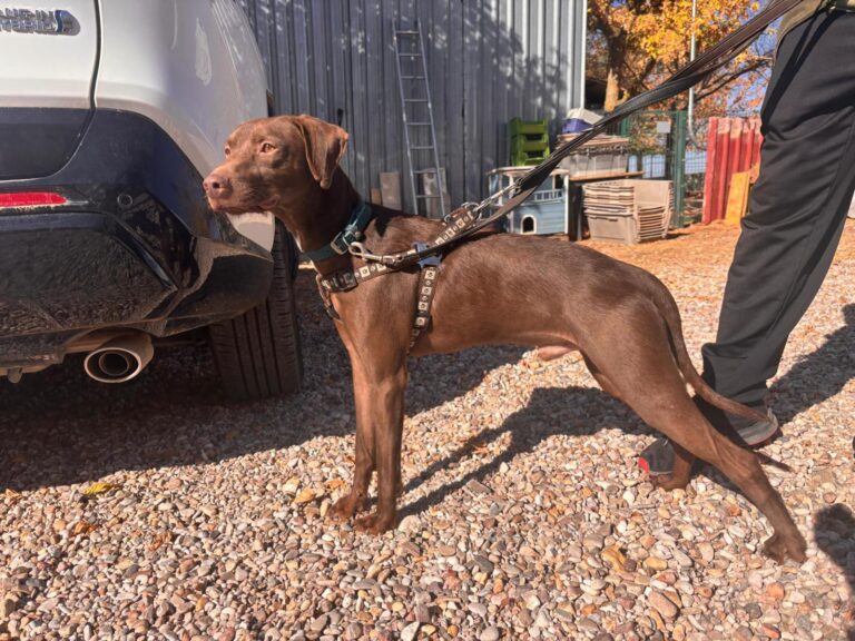 multimedia-foto95884-480-1