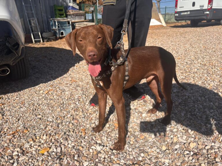 multimedia-foto95885-481-1