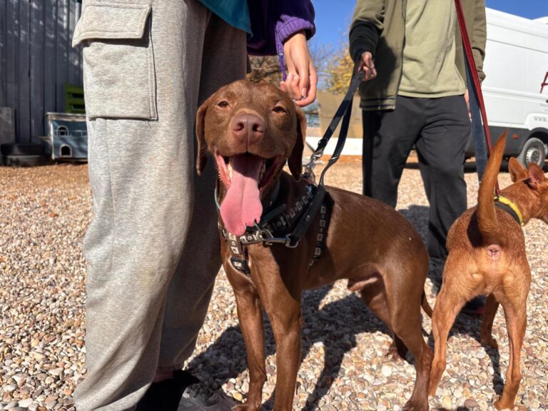 multimedia-foto95886-481-1