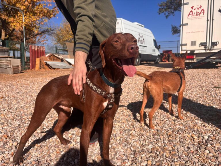 multimedia-foto95887-481-1