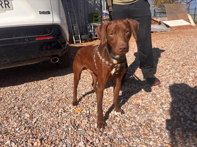 multimedia-foto95888-482-1