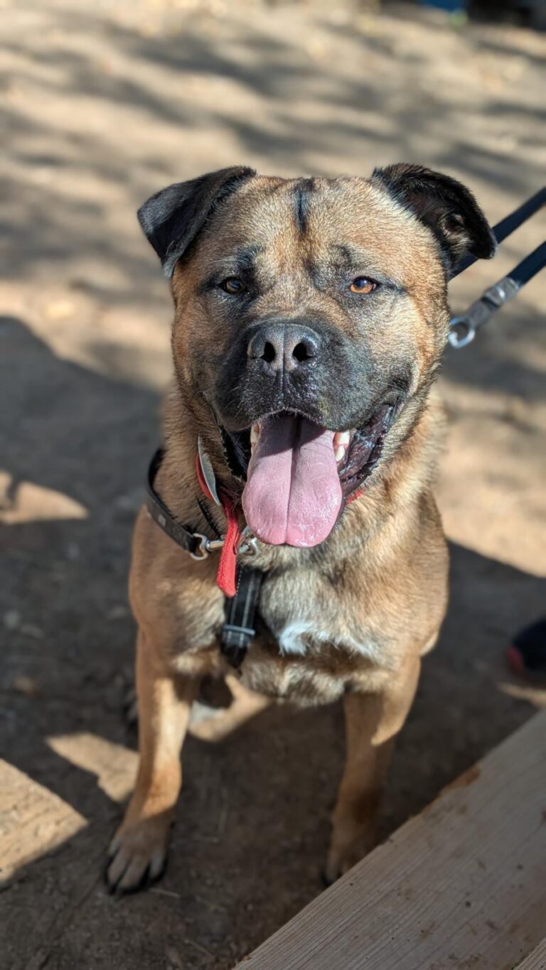 multimedia-foto95889-658-1