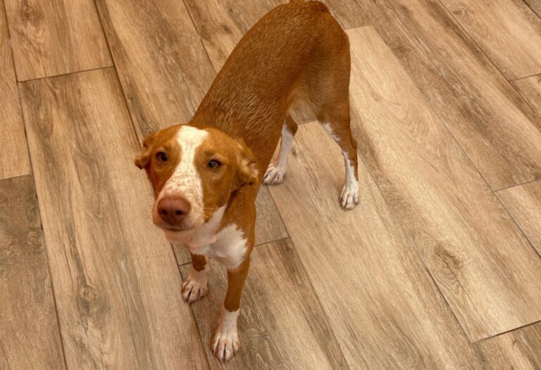 multimedia-foto95912-586-1