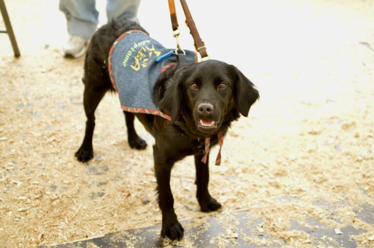 multimedia-foto95931-181-1