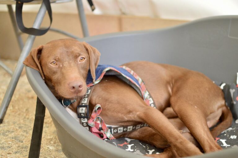 multimedia-foto95936-364-1