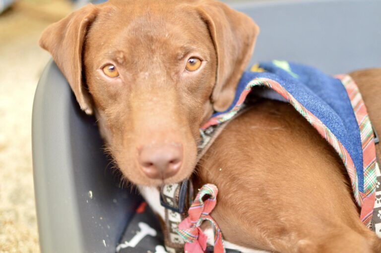 multimedia-foto95937-364-1