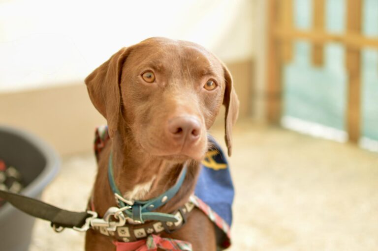 multimedia-foto95938-364-1